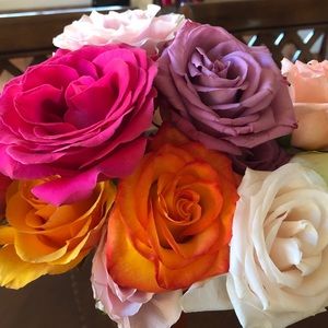 Meet your Posher, Jen